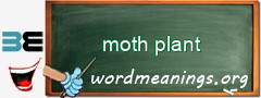 WordMeaning blackboard for moth plant